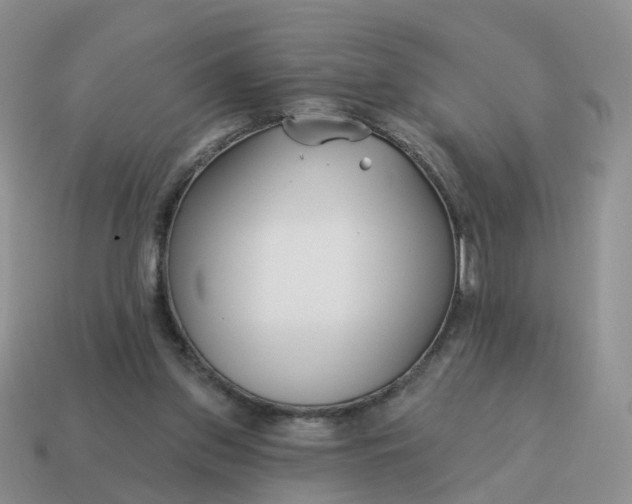 X0000114510157200911091137