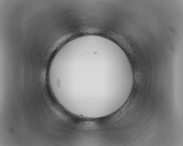 X0000114510159200911091137