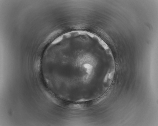 X0000114510163200911091137