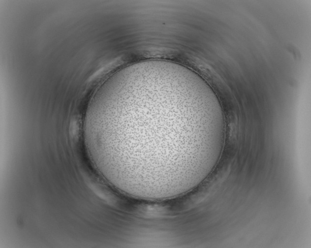 X0000114510165200911091137