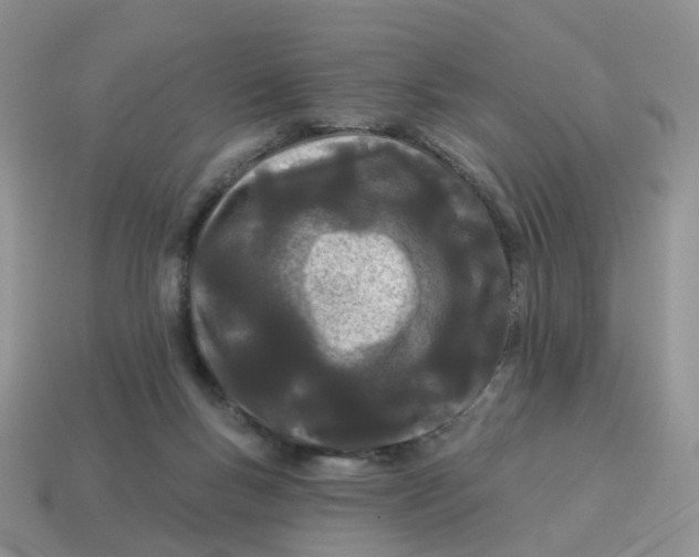 X0000114510167200911091137