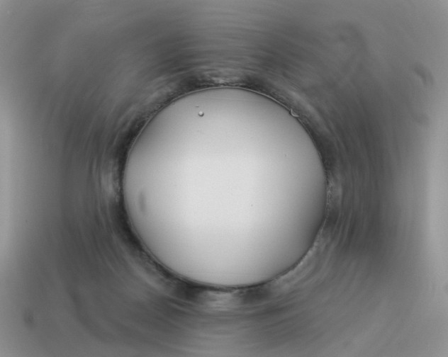 X0000114510170200911091137