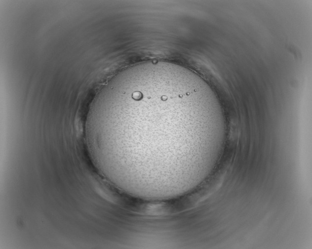 X0000114510173200911091137