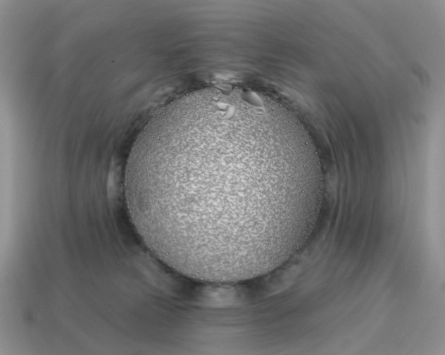 X0000114510181200911091137