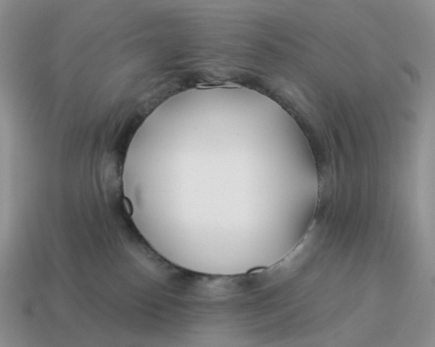 X0000114510186200911091137