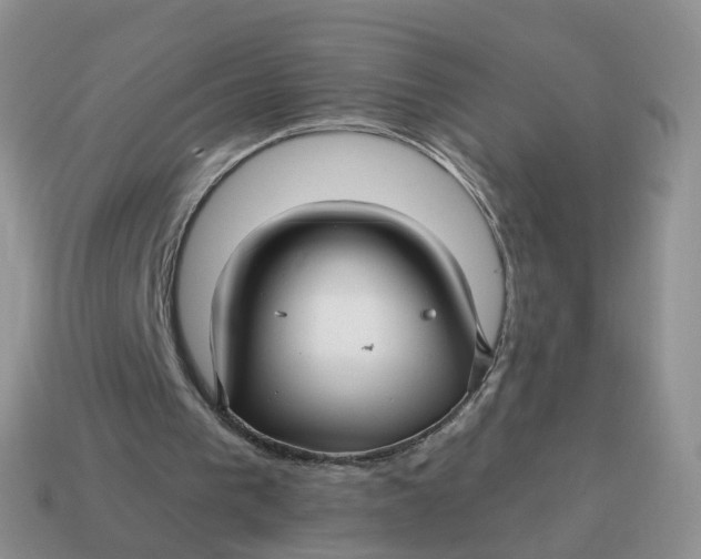 X0000114510193200911091137