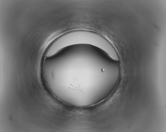 X0000114510199200911091137