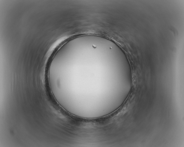 X0000114510200200911091137