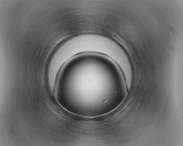 X0000114510203200911091137