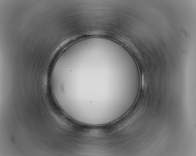 X0000114510204200911091137