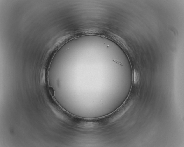 X0000114510205200911091137