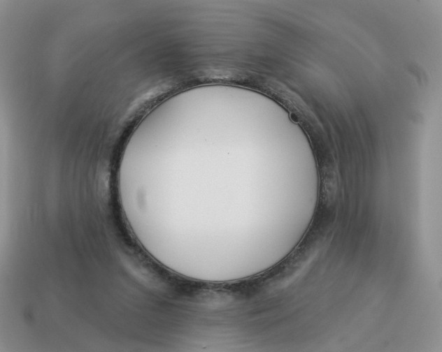 X0000114510207200911091137