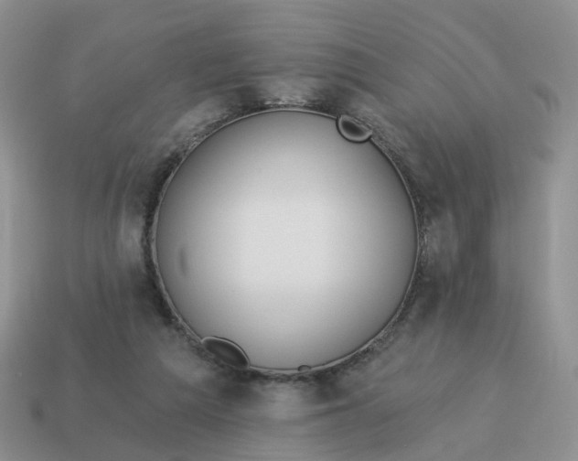 X0000114510209200911091136