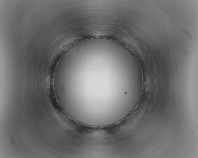 X0000114510210200911091136