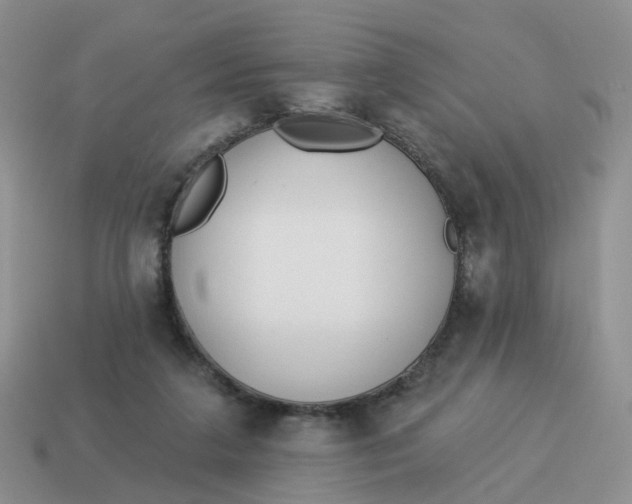 X0000114510211200911091136