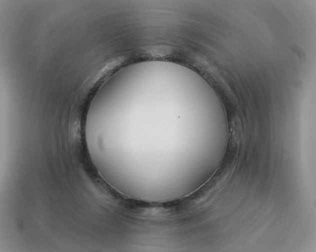 X0000114510212200911091136