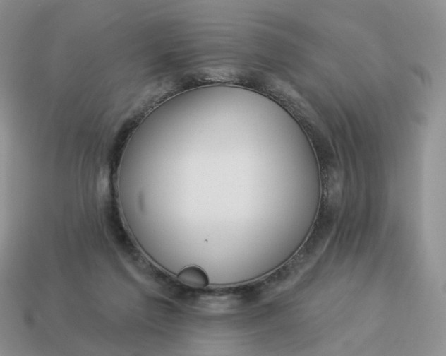 X0000114510213200911091136