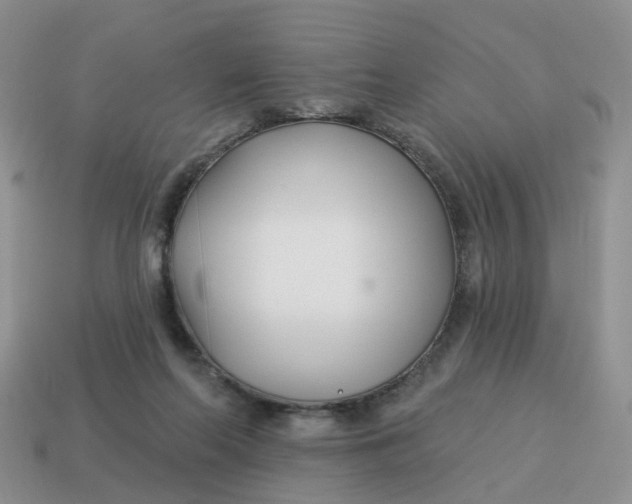 X0000114510214200911091136