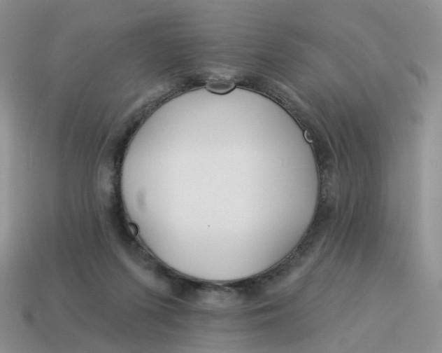 X0000114510215200911091136