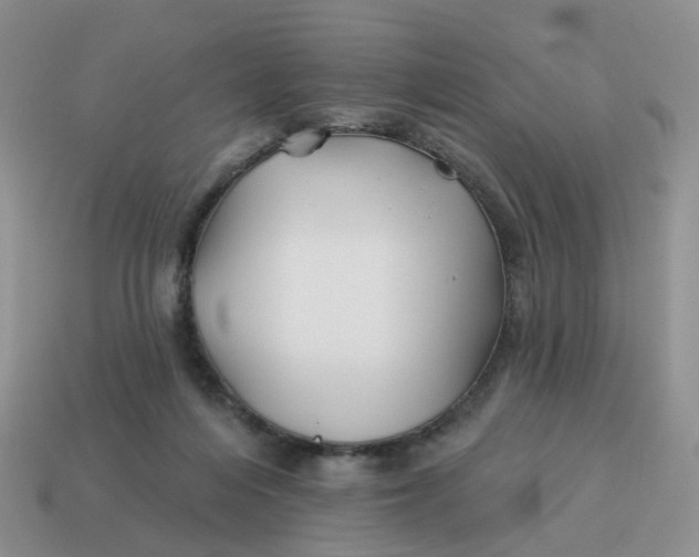 X0000114510216200911091136