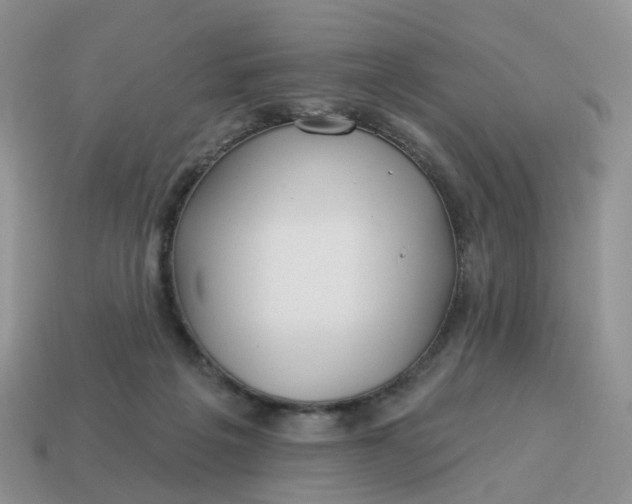 X0000114510217200911091136