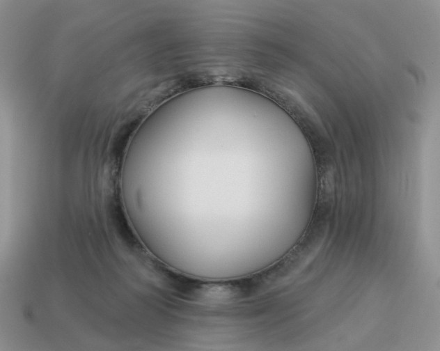 X0000114510218200911091136