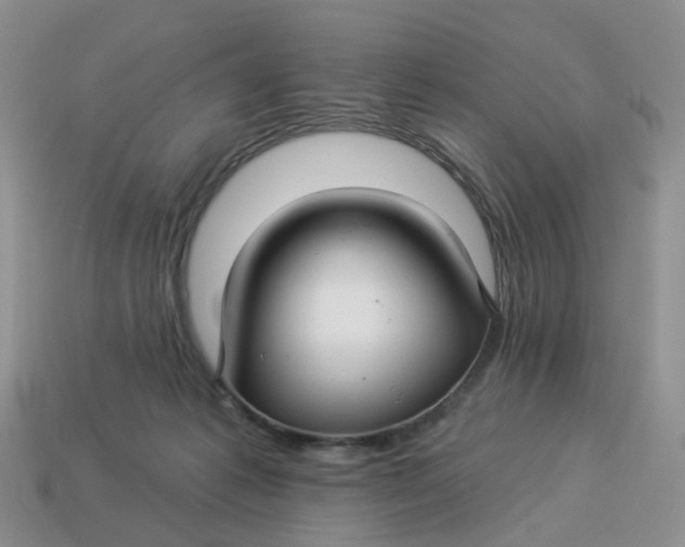 X0000114510221200911091136