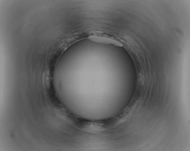 X0000114510223200911091136