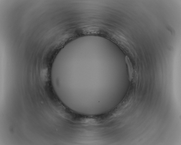 X0000114510224200911091136