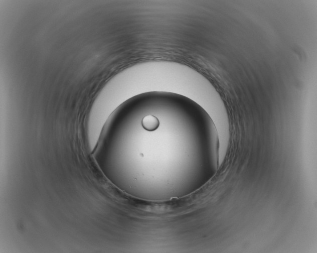 X0000114510225200911091136