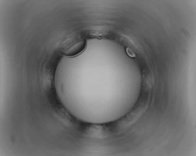 X0000114510227200911091136