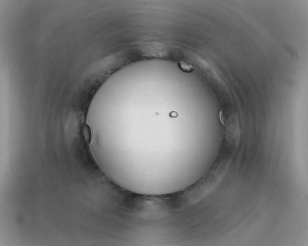 X0000114510229200911091136