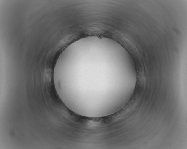 X0000114510232200911091136