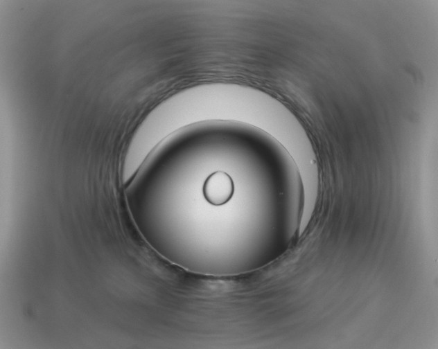 X0000114510233200911091136