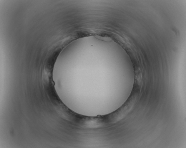 X0000114510235200911091136