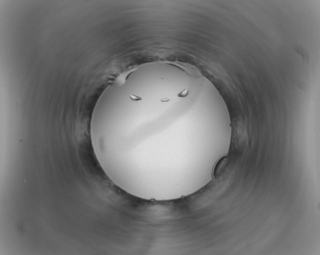 X0000114510236200911091136