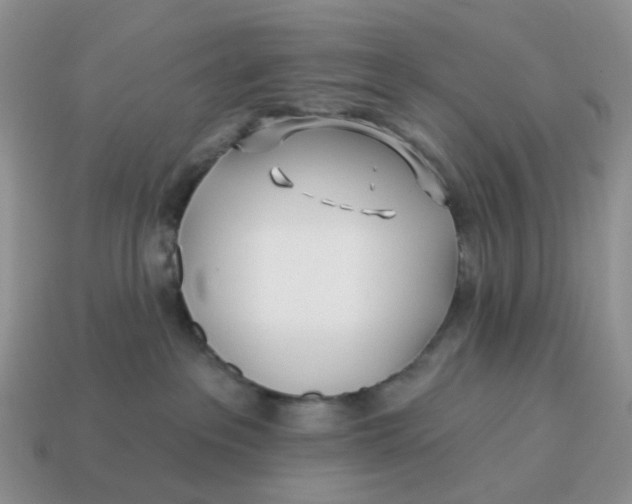 X0000114510237200911091136