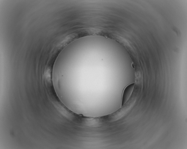 X0000114510238200911091136