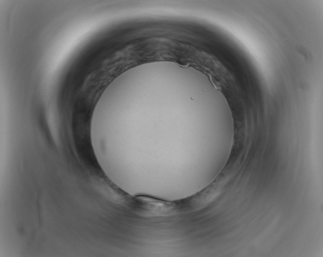 X0000114510239200911091136