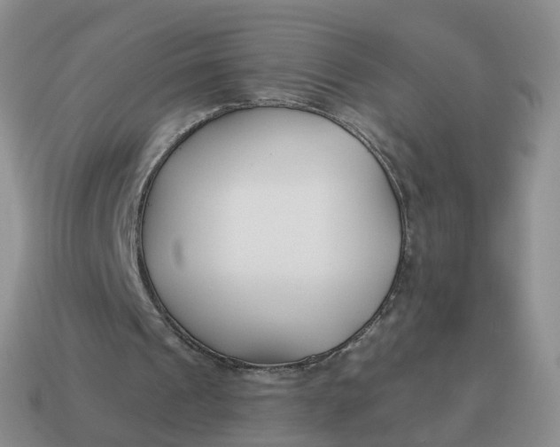 X0000114510241200911091135