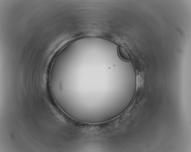 X0000114510243200911091135