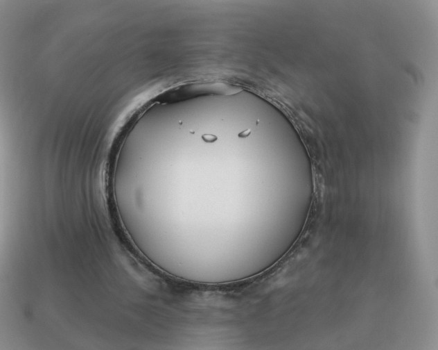 X0000114510244200911091136