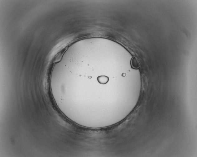 X0000114510245200911091136