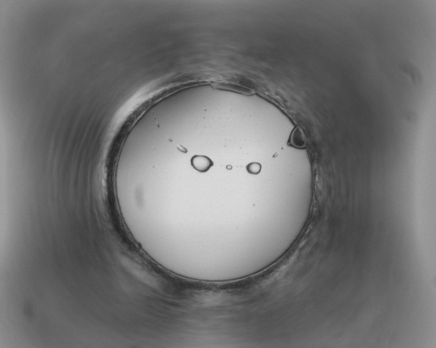 X0000114510246200911091136