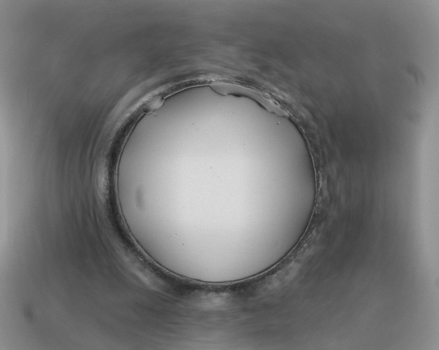 X0000114510247200911091136