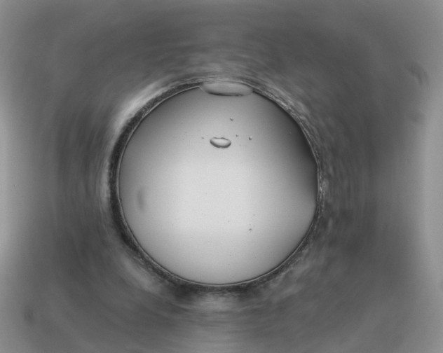 X0000114510248200911091136