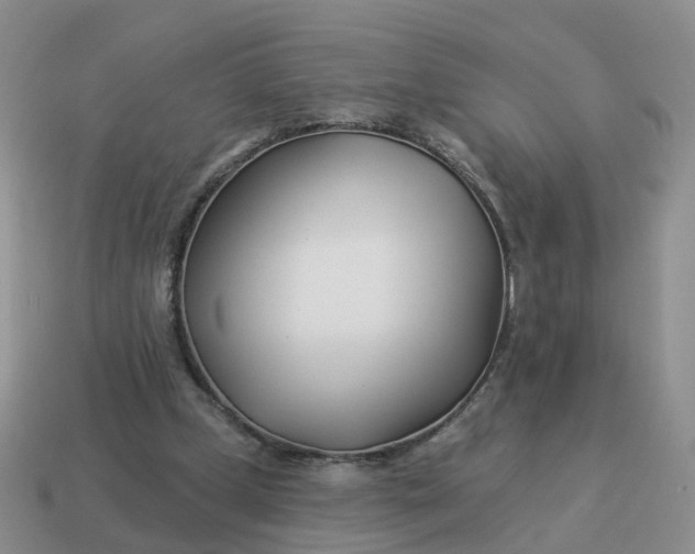 X0000114510249200911091136