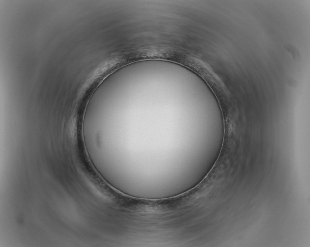 X0000114510250200911091136