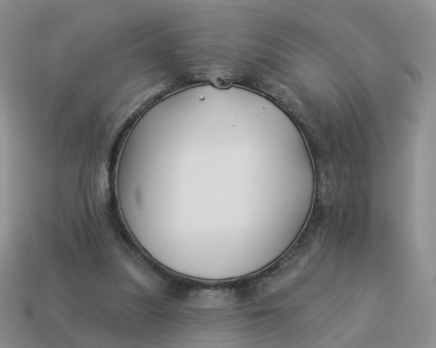 X0000114510251200911091136