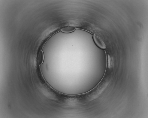 X0000114510252200911091136